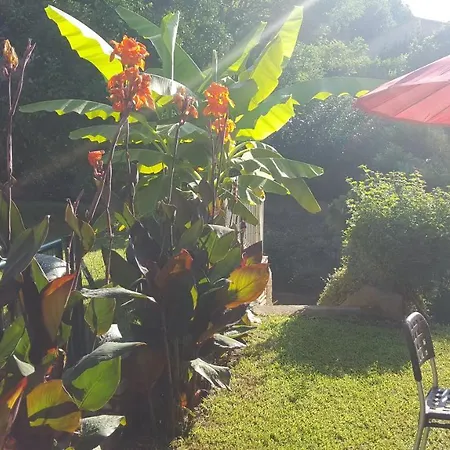 Chiapatella Bed & Breakfast Folelli