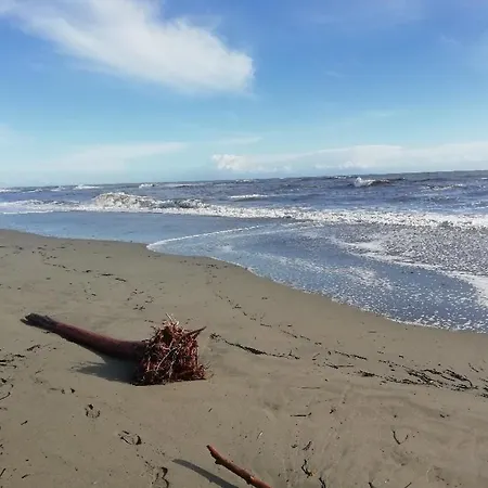 Frühstückspension Chiapatella Folelli