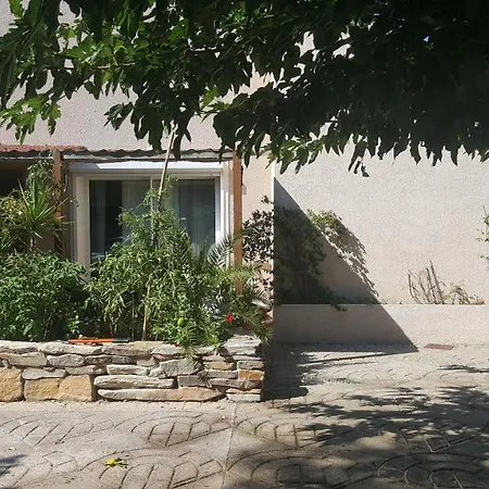 Chiapatella