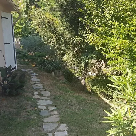 Chiapatella 3*