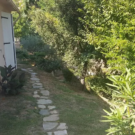 Chiapatella *