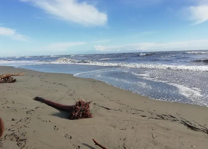 Bed & Breakfast Chiapatella Folelli
