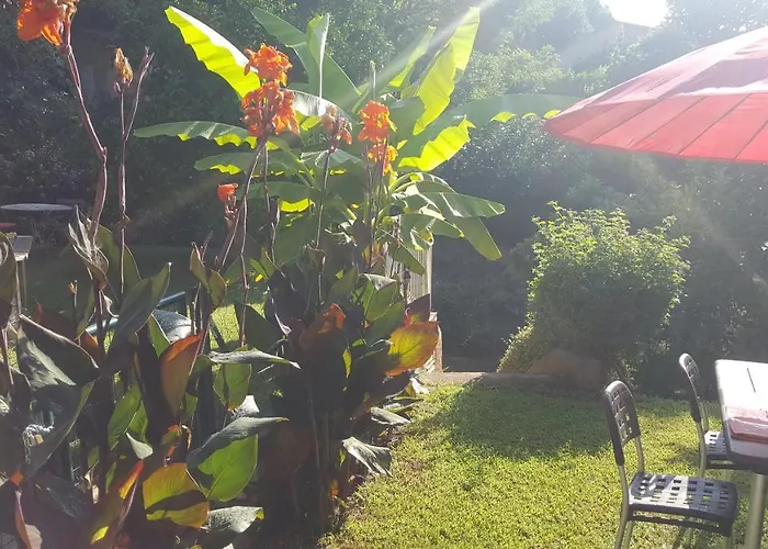 Chiapatella Bed & Breakfast Folelli